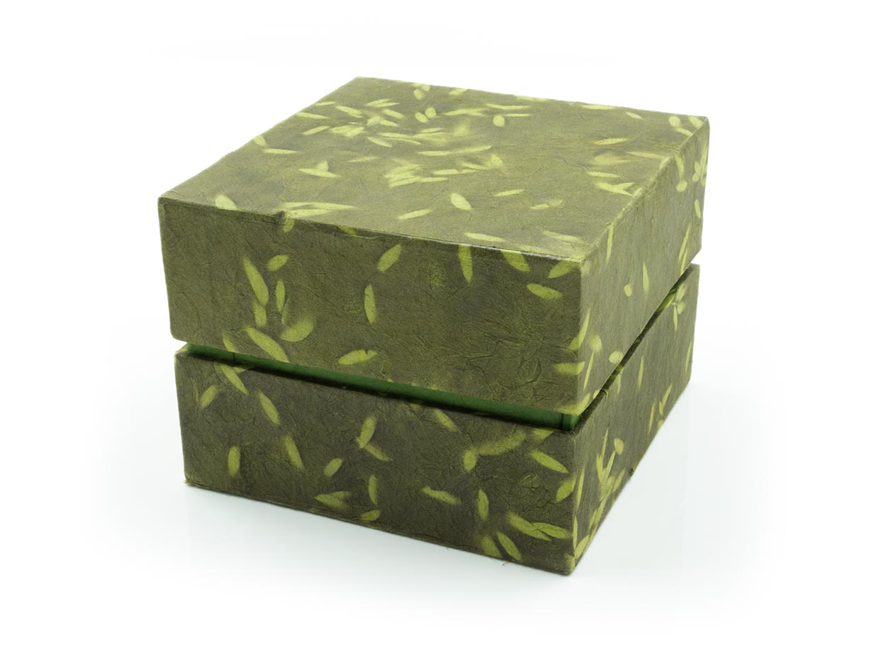 Grüne Reispapier Box Größe M